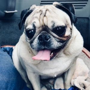 Meet your Posher, Jayden